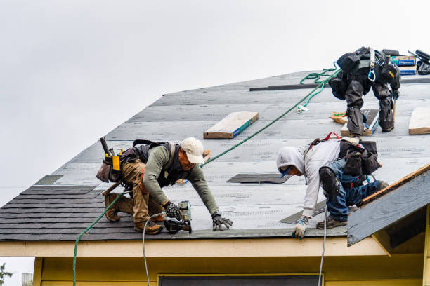 Professional Gutter Installation technician working in Mount Pleasant, TX